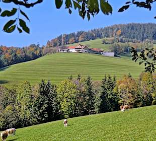 Ausblick vom Beisteinrundwanderweg