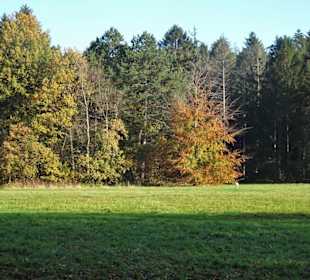 Eindrücke aus dem Bürgerpark Bremerhaven