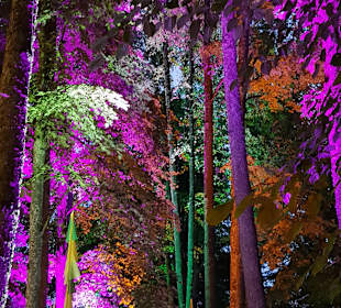 Kneipp-Garten