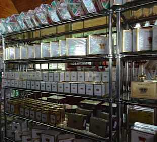 Hochland von Sri Lanka