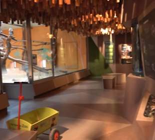 Tierpark Hellabrunn - Welt der Affen