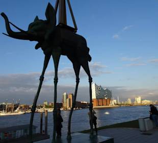 Musical König der Löwen