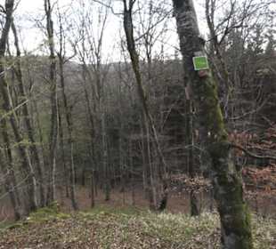 Wanderweg Hochgehswiggert