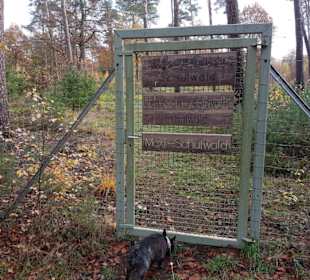 Eingang zum Schulwald