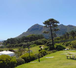 Cape Point Vineyards in Noordhoek