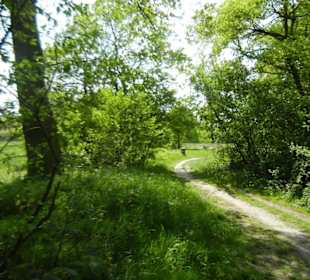 Naturschutzgebiet Boberger Niederung