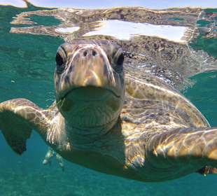 Und bitte nicht Ärgern