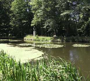 Englischer Garten