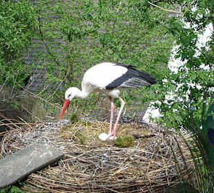 Vogelpark
