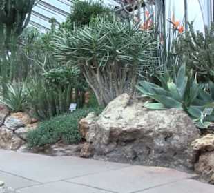 Unteres KakteenhausUnteres Kakteenhaus