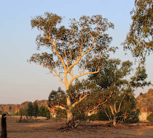 Geiki Gorge NP