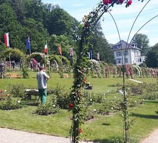Rosenneuheitengarten