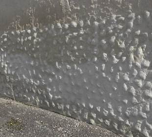 Riedkelter Hirschau