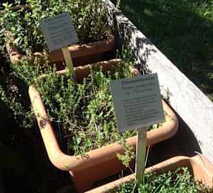 Klosterkirche Maria Gnadenzell