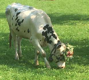 Wandern Fai Della Paganella