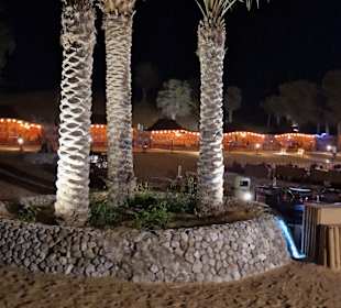 Wüstentour Ras al Khaimah