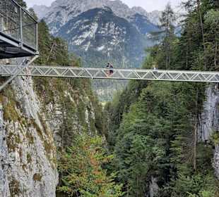 Wandern Kochelbergalm - Aulealm