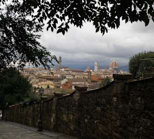 Panorama Florencia
