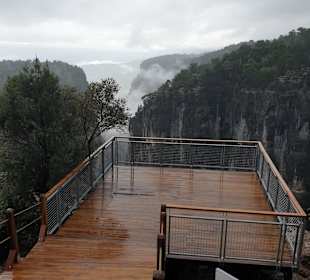 Blick über die Plattform zum Canyon