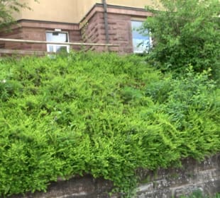 Evangelisch-methodistische Kirche Pastorat