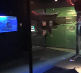 Meeresmuseum Stralsund