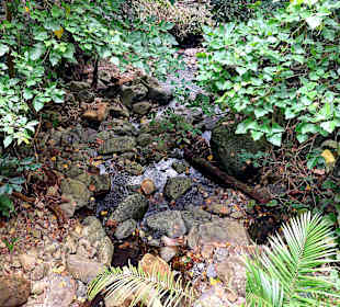 Parque Natural Obô do Príncipe