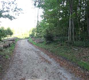 Bussen Schöpfungsweg Offingen