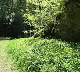 Premiumwanderweg Hochgehschätzt