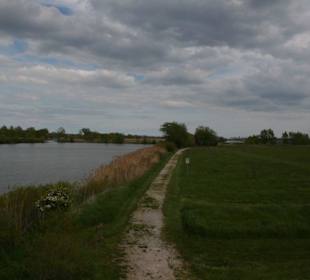 Der Weg anfangs noch frei von Gras