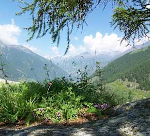 Landschaft beim Meraner Höhenweg