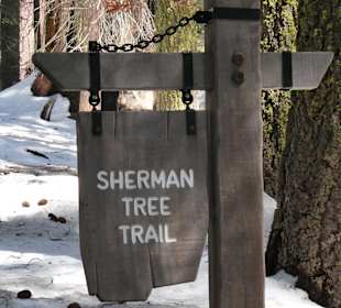 Trail durch beim General Sherman Trr