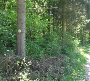 Premiumwanderweg Hochgehschätzt