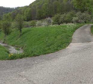 Wandertour durchs Reissenbachtal Oberhausen