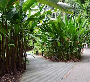 Botanischer Garten Singapur