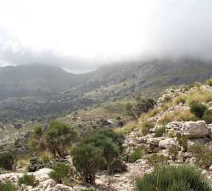 Fahrt nach Torent de Pareis   7