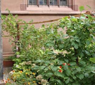 Kleiner Garten am Dom