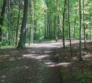 Rundwanderweg - Ottos Ruh