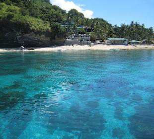 Apo Island