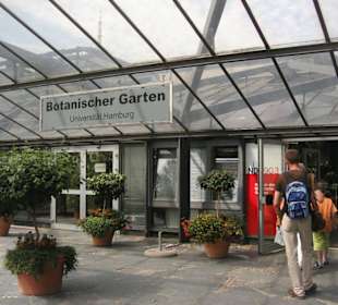 Das Gewächshaus im Botanischen Garten