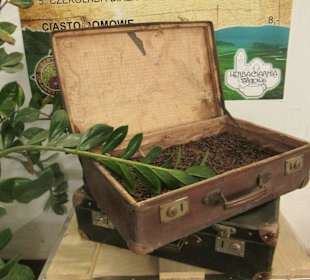 Hala Targowa Wrocław