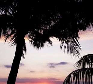 Lovina Beach