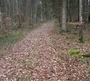 Brühl-Brünnele Ehestetten