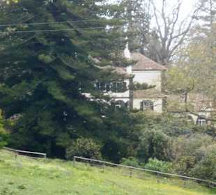 Palheiro Gardens