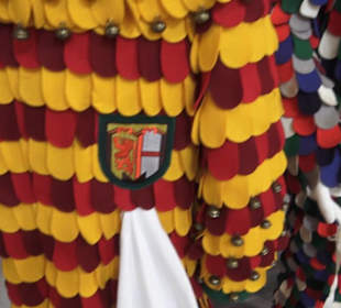 Fastnachtsmuseum Narrenschopf