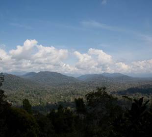 Krajobraz Taman Negara