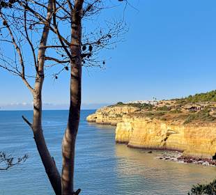 Seven Hanging Valleys Trail 