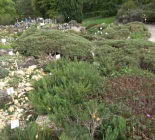 Alpinum