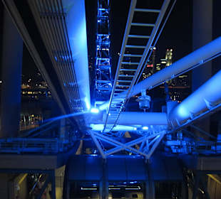 Singapore Flyer bei Nacht