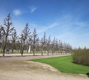 Schlossgarten Schwetzingen