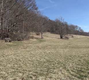 Schanze des Spanischen Erbfolgekriegs bei Willmand